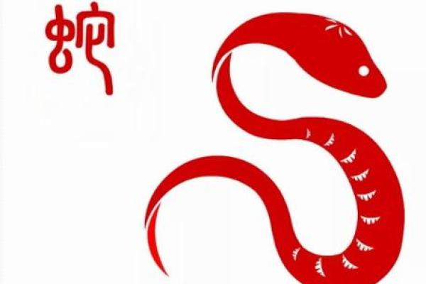 女孩蛇晒日命运解析：神秘的命理与生活之道