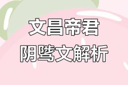 解密命理：文昌命与福星命的神秘特征与生活启示