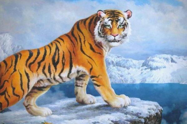 揭秘命旺水虎命格,缘何被视为上佳命运? 揭秘命旺水虎命格,缘何被视为上佳命运?