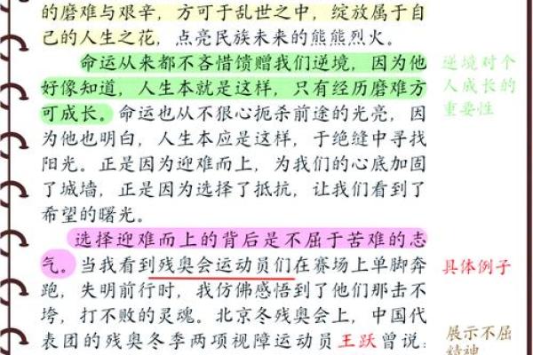 《破碎的命运与逆境中的希望——分析《我没那种命》的情感深度》
