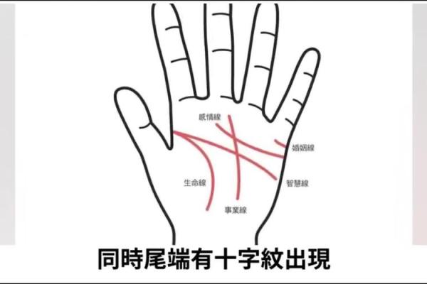 手心向上的命运:解读命理与生活的奇妙联系 手心向上的命运:解读命理与生活的奇妙联系