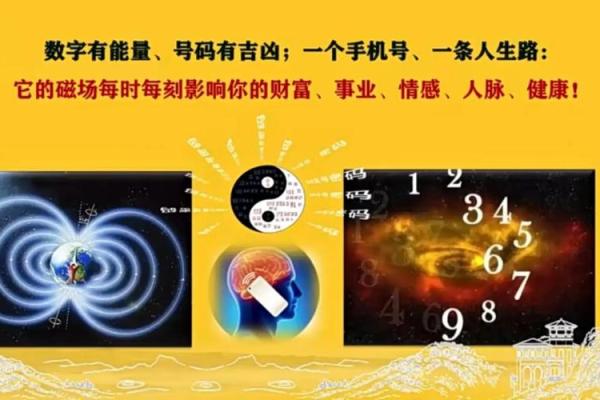 根据手机号码解读五行命理，揭示你的人生运势与性格特征！
