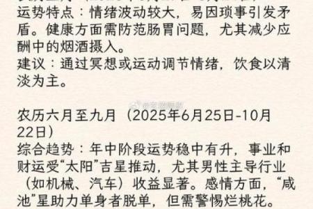 属马21岁生辰命理解析：如何把握人生机遇与挑战！