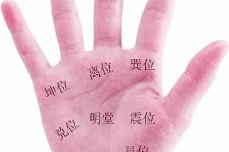 女巽卦东四命配什么？探索命理中的和谐美学