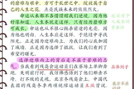 《破碎的命运与逆境中的希望——分析《我没那种命》的情感深度》