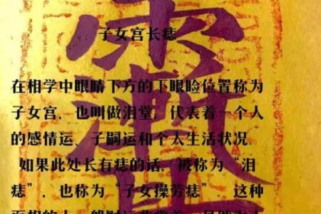 揭秘女命太阴在子女宫的奥秘与影响