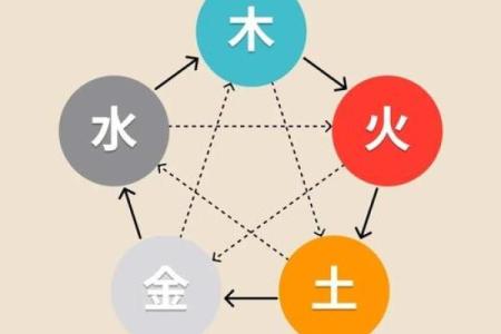 金命克大林木命的奥秘：探索命理中五行的关系