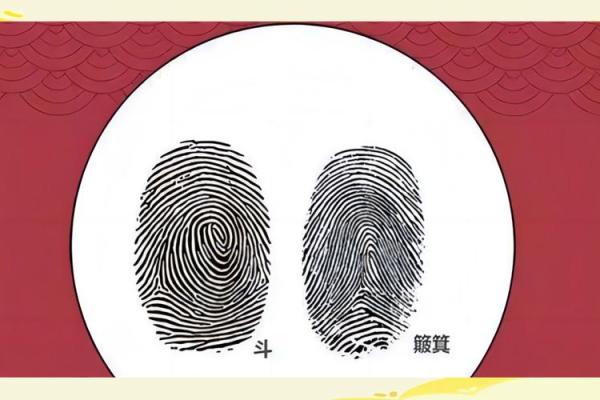 三斗七簸箕,命运的奇妙象征与人生启示 三斗七簸箕,命运的奇妙象征与人生启示