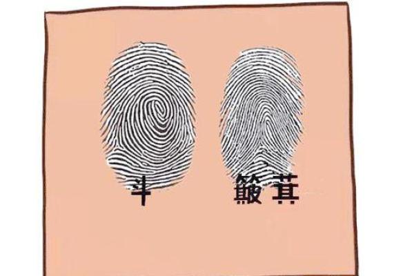 三斗七簸箕,命运的奇妙象征与人生启示 三斗七簸箕,命运的奇妙象征与人生启示