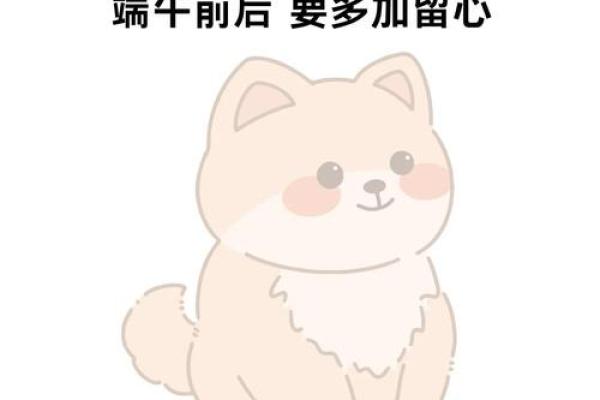 属狗的1982年出生者命运解析与生活指导 属狗的1982年出生者命运解析与生活指导