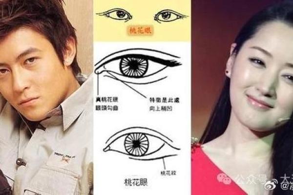 揭秘人中下端呈扇形的命运特征与影响 揭秘人中下端呈扇形的命运特征与影响