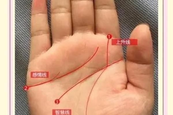 揭示女命左手手相的秘密:揭开性格与命运的神秘面纱 揭示女命左手手相的秘密:揭开性格与命运的神秘面纱