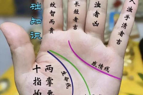 揭示女命左手手相的秘密:揭开性格与命运的神秘面纱 揭示女命左手手相的秘密:揭开性格与命运的神秘面纱