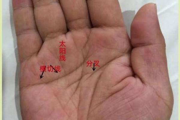 手掌纹路多且凌乱的人命运如何:揭秘人生奥秘 手掌纹路多且凌乱的人命运如何:揭秘人生奥秘