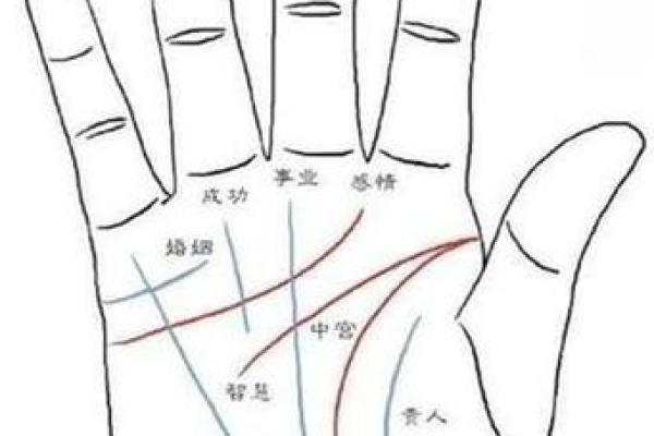 手掌纹路多且凌乱的人命运如何:揭秘人生奥秘 手掌纹路多且凌乱的人命运如何:揭秘人生奥秘