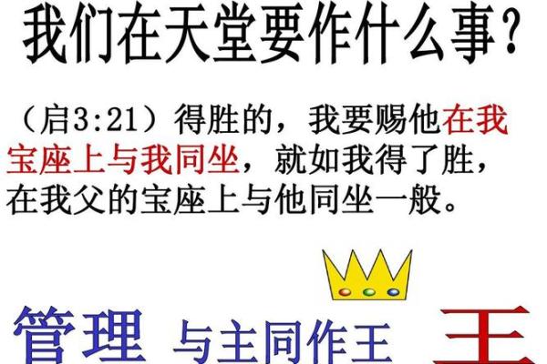 矢之为我命:探索人生价值与追求的深刻寓意 矢之为我命:探索人生价值与追求的深刻寓意