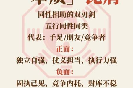 日坐比肩男命解析：理解命理背后的性格与人生轨迹