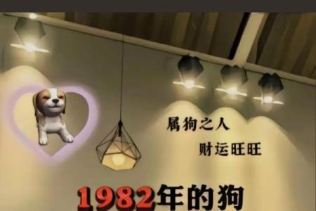 属狗的1982年出生者命运解析与生活指导