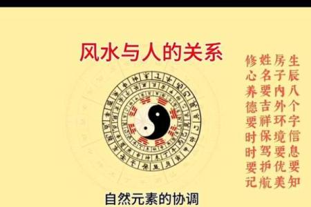 三金二水一土的命理解析：揭示人生的奥秘与可能性