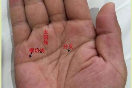 手掌纹路多且凌乱的人命运如何：揭秘人生奥秘