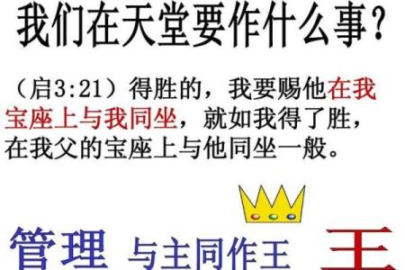 矢之为我命：探索人生价值与追求的深刻寓意