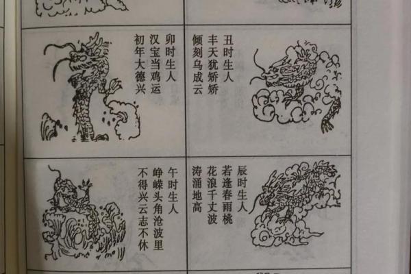 妾命当逢薄幸夫,生肖背后的命运启示 妾命当逢薄幸夫,生肖背后的命运启示