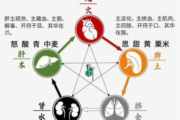 湿土命与干燥命的命理解析:如何根据五行找到适合自己的生活方式? 湿土命与干燥命的命理解析:如何根据五行找到适合自己的生活方式?