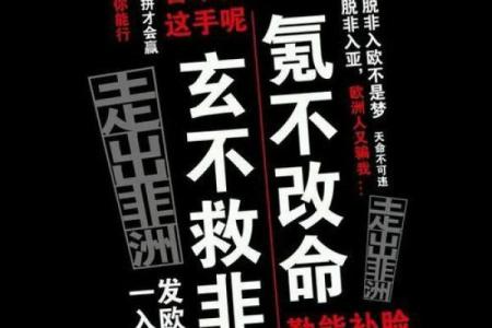 强行改命：命运的拼图与个人的选择