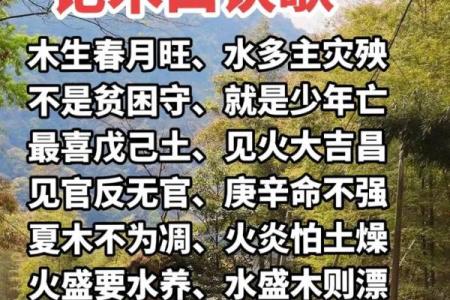 木命寅时的人生智慧：如何躲避命运的波折与挑战