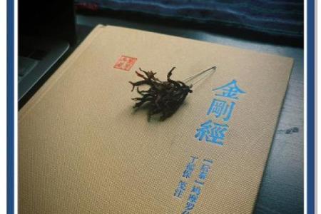 富贵命与小三命：命运背后的深意与启示