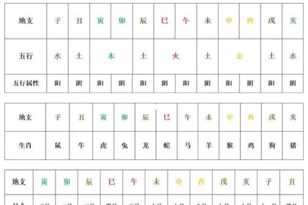 龙年出生者的五行命理与人生智慧探讨 龙年出生者的五行命理与人生智慧探讨