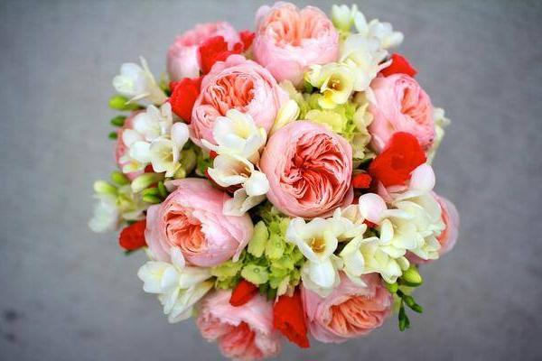 三两九钱女命:如何寻找最适合自己的另一半? 三两九钱女命:如何寻找最适合自己的另一半?