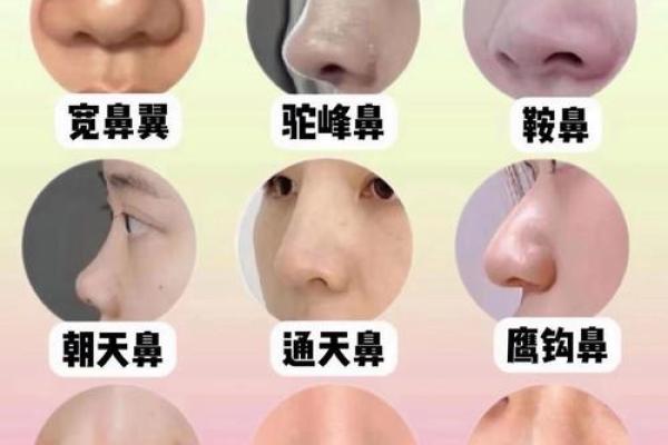 揭秘渣男命:鼻子形状透露的情感真相 揭秘渣男命:鼻子形状透露的情感真相