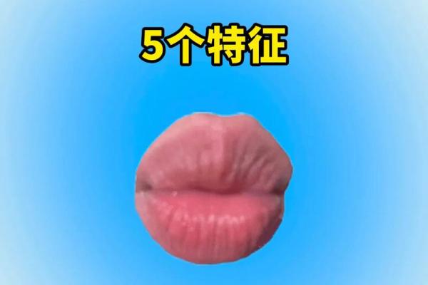 揭秘渣男命:鼻子形状透露的情感真相 揭秘渣男命:鼻子形状透露的情感真相