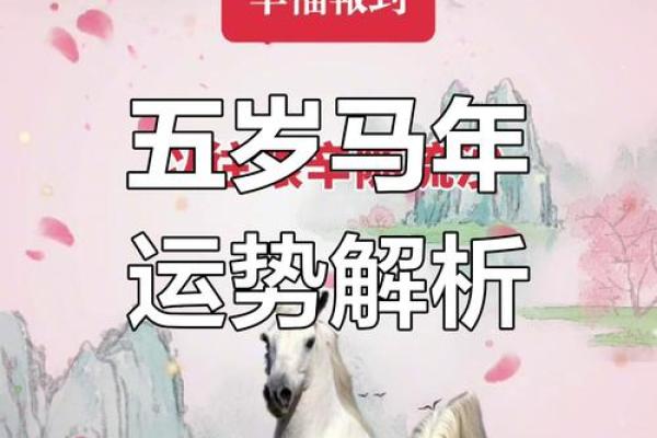 属马女五月初三的命运深度解析,探讨一生的运势与幸福之道 属马女五月初三的命运深度解析,探讨一生的运势与幸福之道