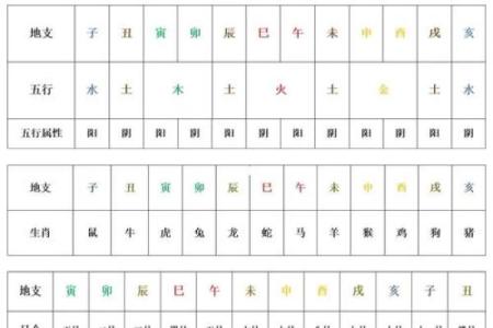 龙年出生者的五行命理与人生智慧探讨