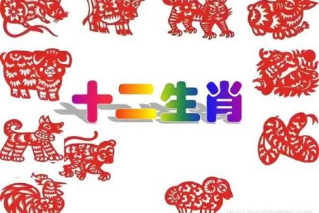 生肖与财富：那些天生富贵的生肖解析