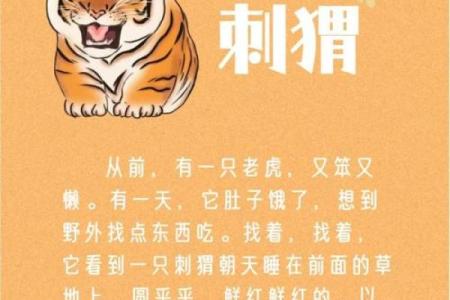 七四年出生的两只老虎：命运的踪迹与启示