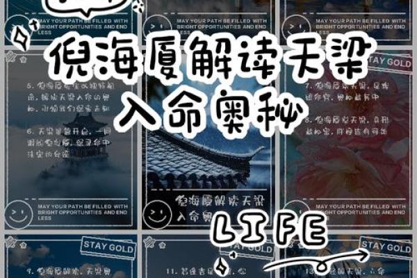 守命入命坐命的深刻解读与应用 守命入命坐命的深刻解读与应用