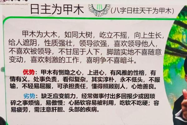 揭秘女命甲木日元:性格特点与命理分析的独特魅力 揭秘女命甲木日元:性格特点与命理分析的独特魅力