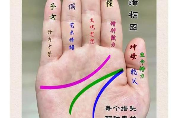 女人手相复杂代表什么命,揭秘手相背后的秘密 女人手相复杂代表什么命,揭秘手相背后的秘密