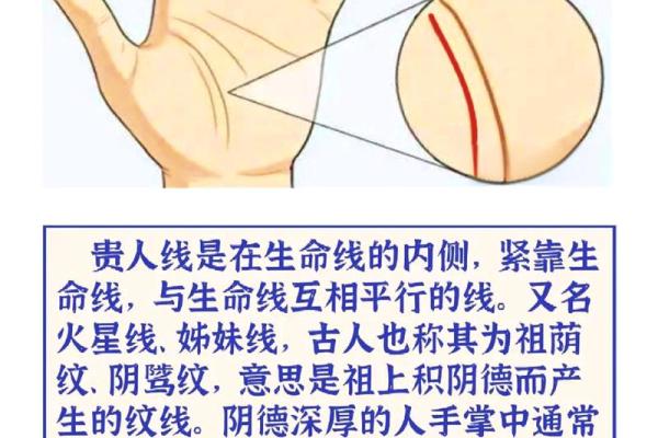 女人手相复杂代表什么命,揭秘手相背后的秘密 女人手相复杂代表什么命,揭秘手相背后的秘密