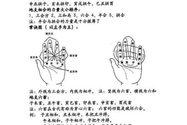 女子阳命阴命解析:探索命理中的女性能量与命运之道 女子阳命阴命解析:探索命理中的女性能量与命运之道