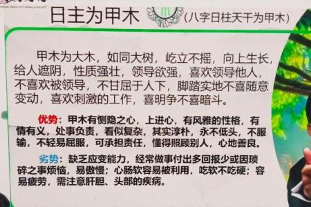 揭秘女命甲木日元：性格特点与命理分析的独特魅力