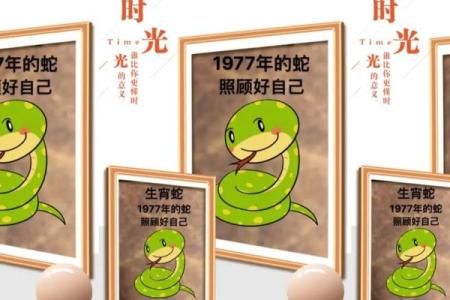 七七年属蛇的命运解析：通往智慧与机遇的旅程