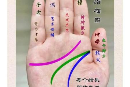 女人手相复杂代表什么命，揭秘手相背后的秘密