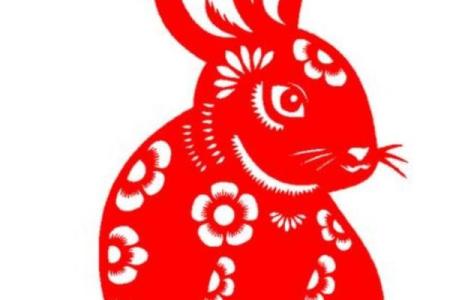 属兔正月出生的命运解析：福星高照，开运之路