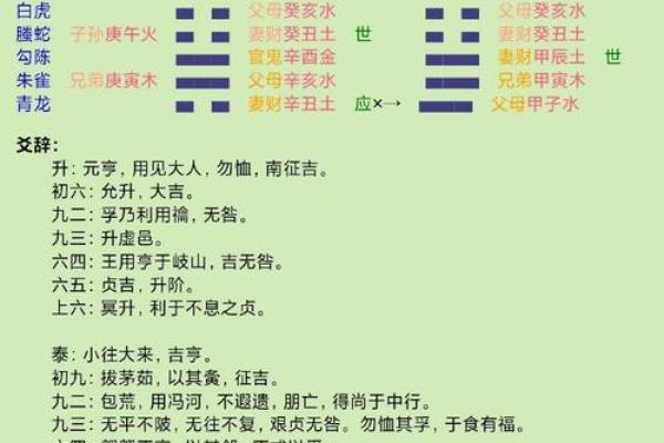 壬寅乙巳丙子壬辰命理详解:揭开心灵奥秘与命运的规律 壬寅乙巳丙子壬辰命理详解:揭开心灵奥秘与命运的规律