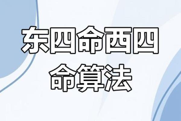 揭开乾命东四命的神秘面纱，探索命运的奥秘与机遇！