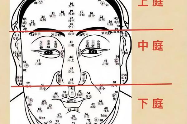 女人额头特征与命运的奥秘探究 女人额头特征与命运的奥秘探究